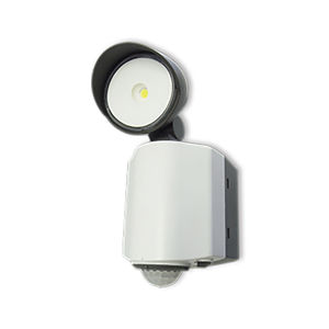 LED floodlight 1