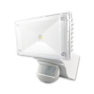 LED floodlight 1