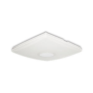 LED floodlight 1
