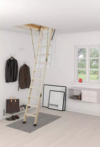 wooden ladder