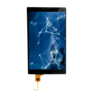 TFT LCD display modules