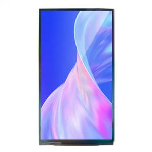 IPS display module