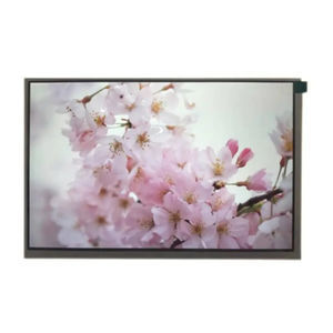 TFT LCD display module