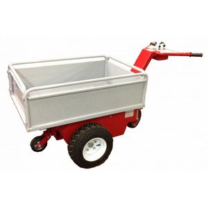 electric cart