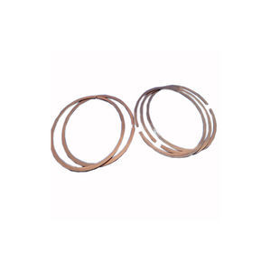 bearing unit sealing ring