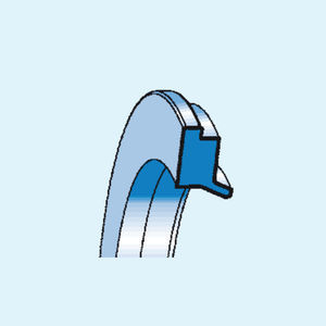 lip seal 1
