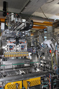 pick-and-place case packer