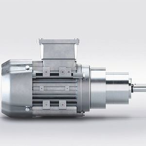 asynchronous gear-motor