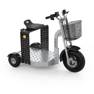 handling electric scooter