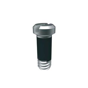 fastening screw