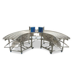 conveyor system for the food industry