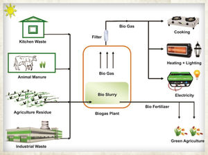 biogas plant