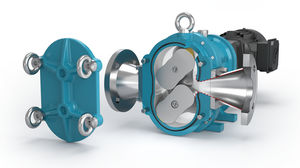 rotary lobe pump