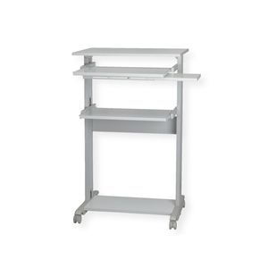 computer workstation 1