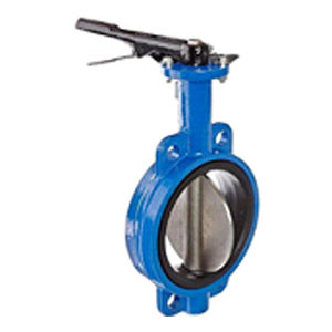 butterfly valve 1
