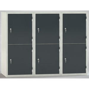 multiple locker 1