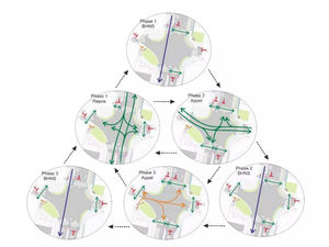 data analysis software solution 1