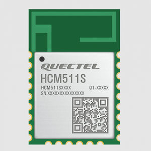 Bluetooth WiFi module 1
