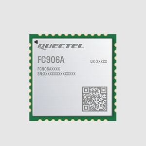 Bluetooth WiFi module 1