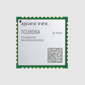 Bluetooth WiFi module 1