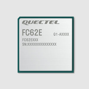 Bluetooth WiFi module 1