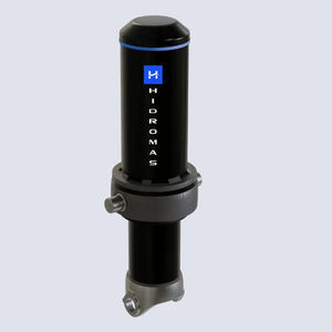 hydraulic cylinder