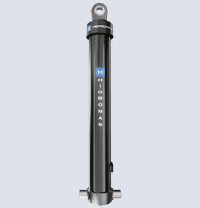 hydraulic cylinder