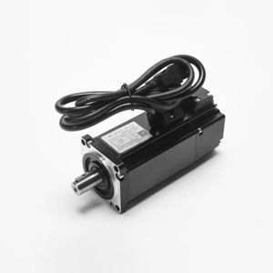 AC servo motor