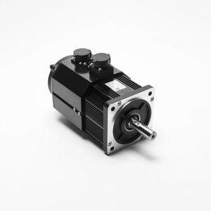 AC servo motor