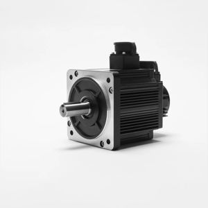 AC servo motor
