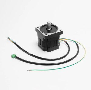 brushless motor