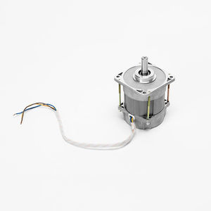 AC motor