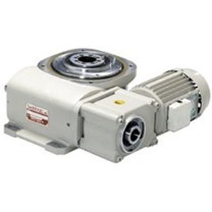 rotary indexer 1