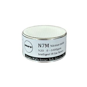 N2O gas sensor 1