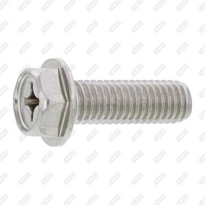 hexagonal washer-head screw