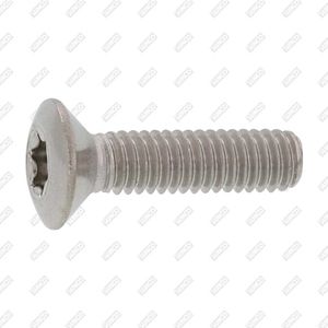 oval head screw 1