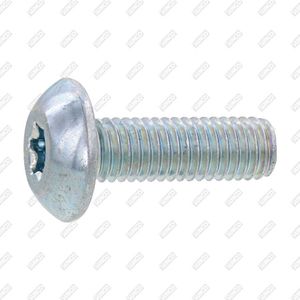 truss-head screw 1