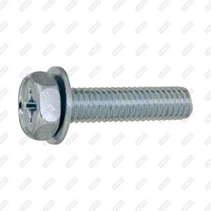 screw with hexagonal head