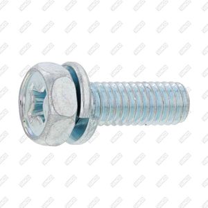 screw with hexagonal head