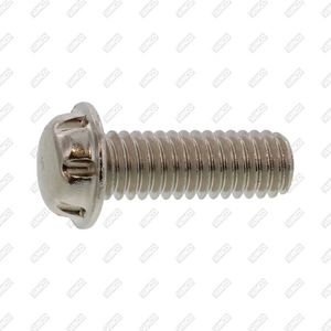 safety screw 1