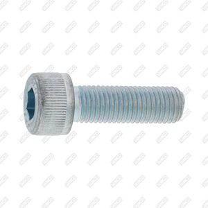 hex socket screw