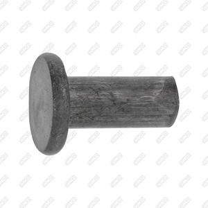 flat-head rivet 1