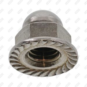 hexagonal nut 1