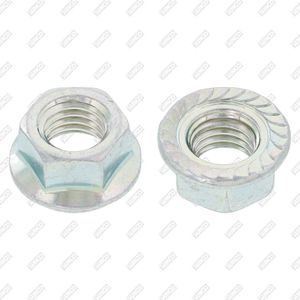locking nut 1