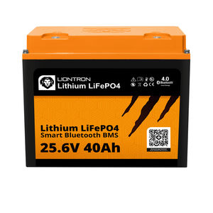 LiFePO4 battery