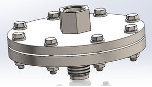 diaphragm seal with threaded connection 1