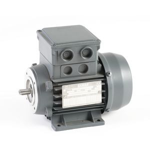 asynchronous motor