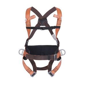 safety harness
