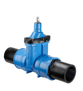 gate valve 1