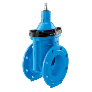 gate valve 1